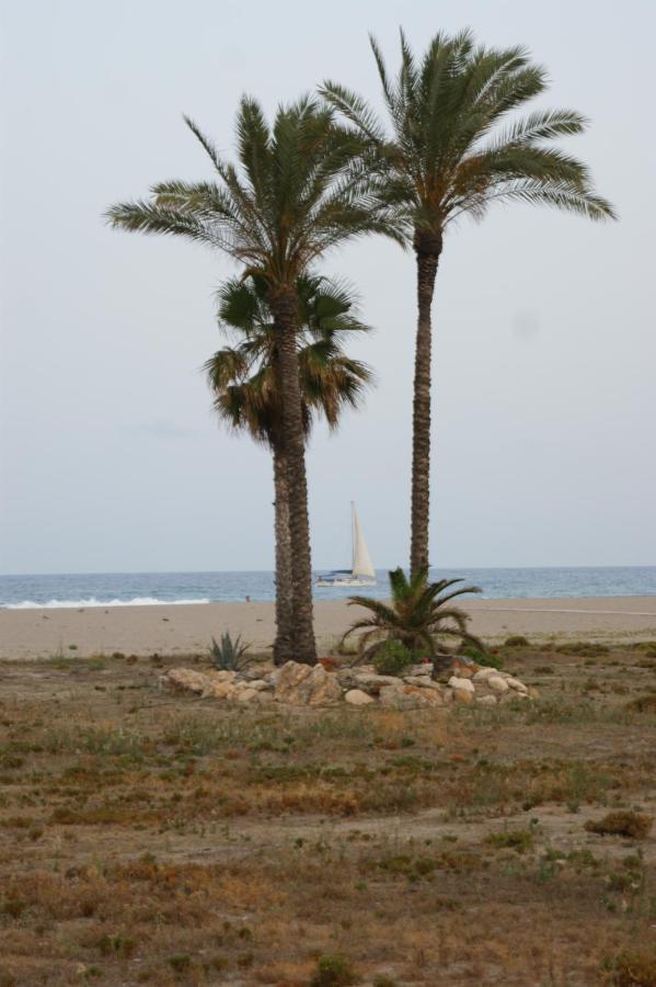 Apartamento En Vera A 300 M De La Playa, Con Patio Y Salida Directa A Calle Exteriör bild